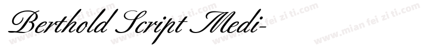 Berthold Script Medi字体转换